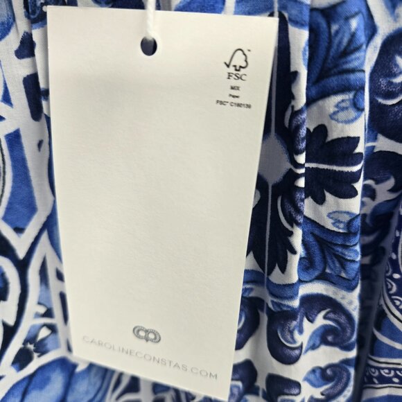 Caroline Costas Blue White Empire Waist 100% Cotton Maxi Dress Size Small - Picture 6 of 16